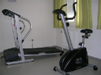 Sport